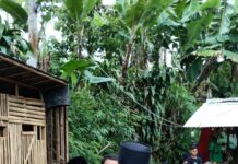 GP ANSOR KEC. CIKOLE KOTA SUKABUMI MANFAATKAN LAHAN JADI INISIATIF KETAHAN PANGAN